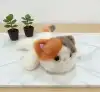Very precious, soft and fragrant, three-flower cat, magnetic fridge magnet, plush doll, toy table companion doll, cute and fun, ideal for gifting, magnetic plush doll, switch decoration, home cute wall-mounted style Specification image